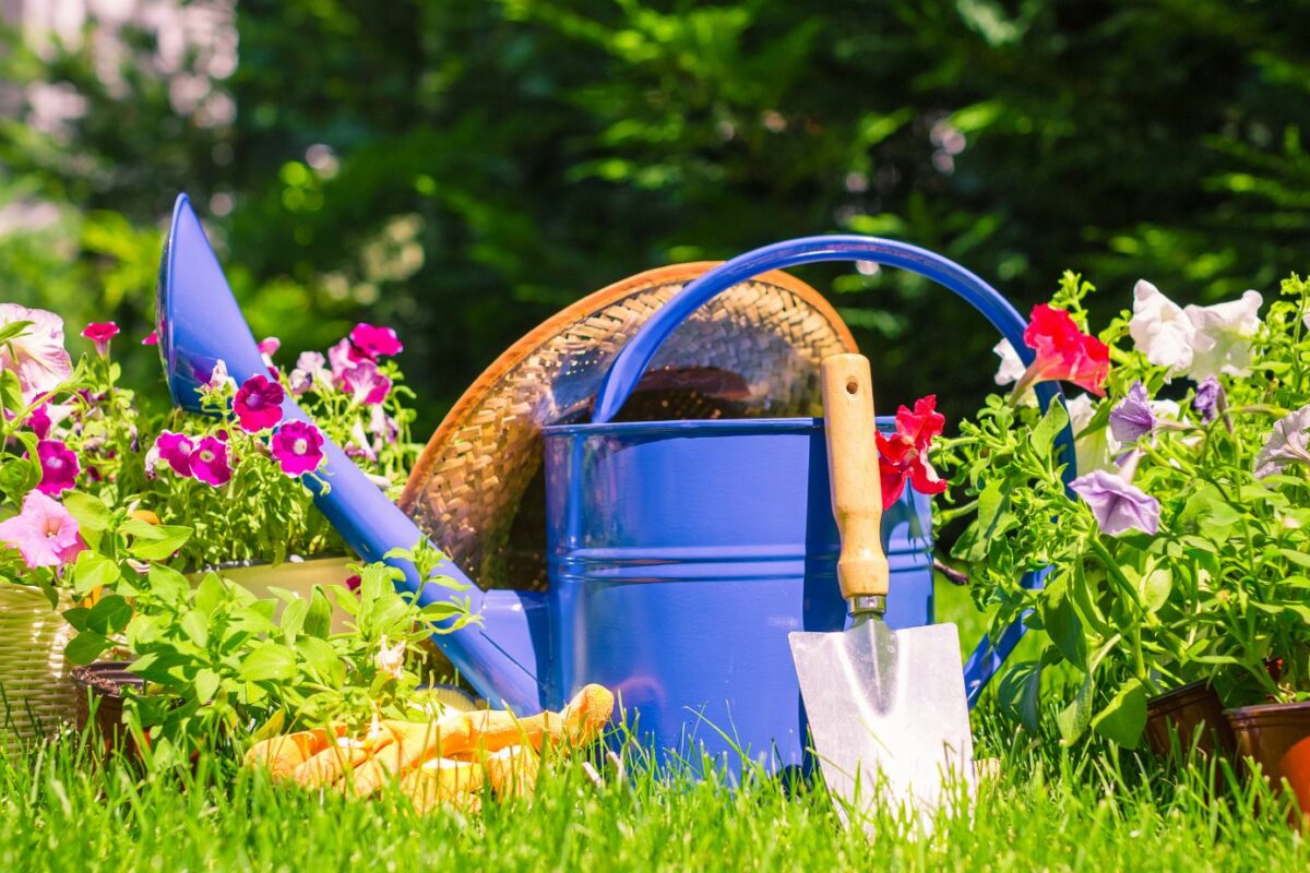 Discover the Magic of Montreal Botanical Garden Living Sculptures: A Unique Nature Experience