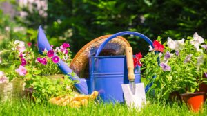 Read more about the article Discover the Magic of Montreal Botanical Garden Living Sculptures: A Unique Nature Experience